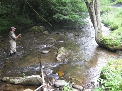 Doe River 28Jun09  30 